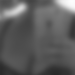 rencontre-Cougar-Mulhouse