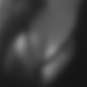 rencontre-Cougar-Épinal