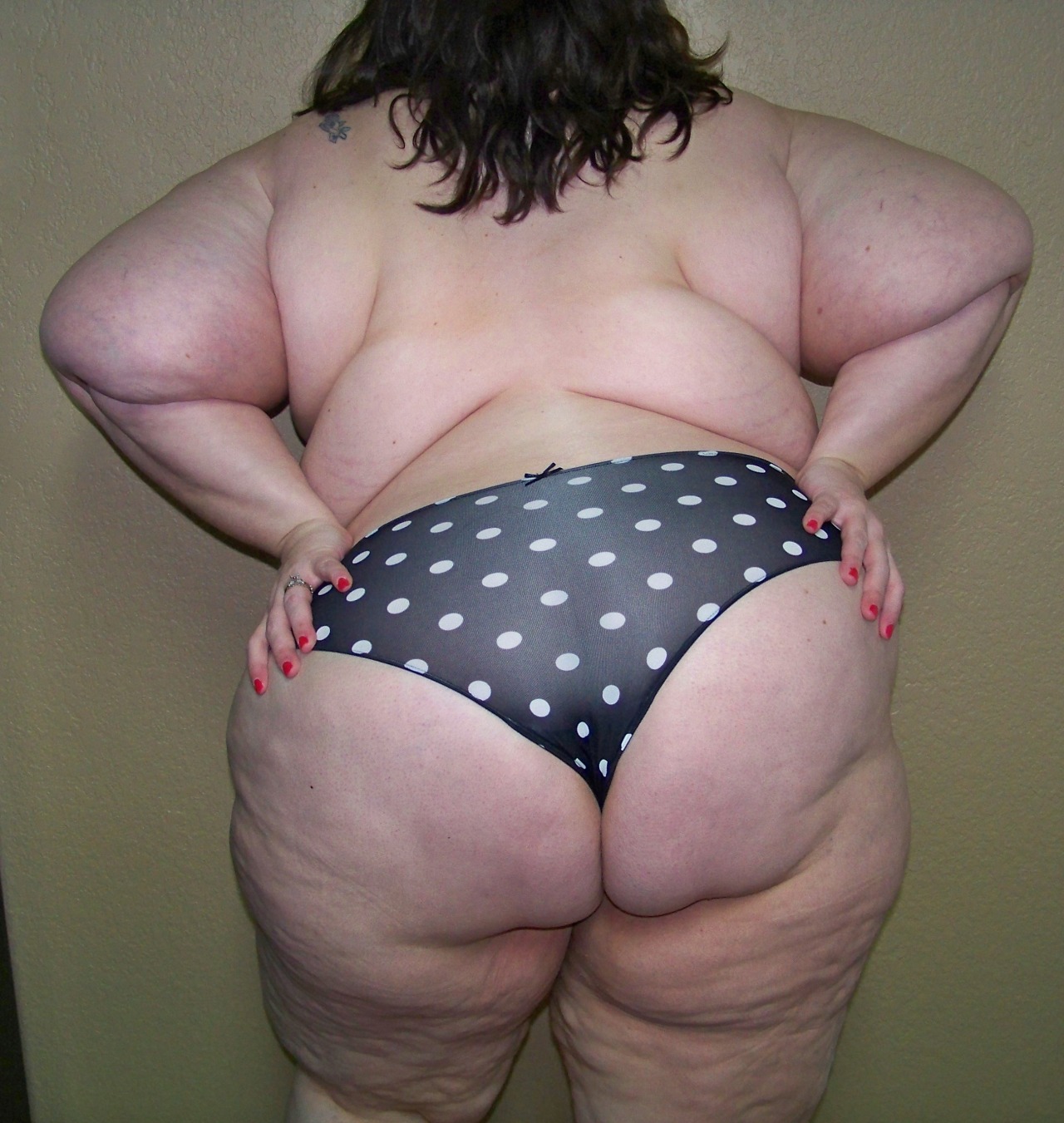 rencontre-Cougar-Alençon