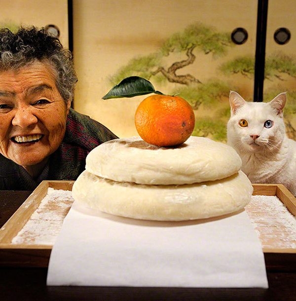 rencontre-cougar-orleans-q9t6